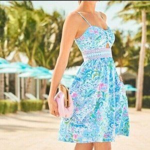 Lilly Pulitzer - NWOT - Kaitlyn Dress with Pockets - What a Lovely Place - sz 12